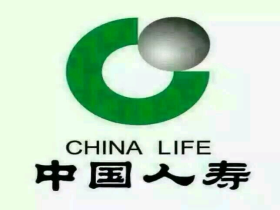 中国人寿保险有限公司形象照
