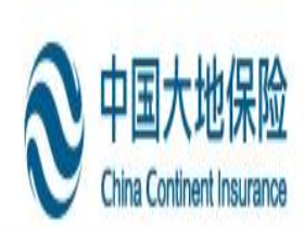 中国大地财产保险股份有限公司形象照