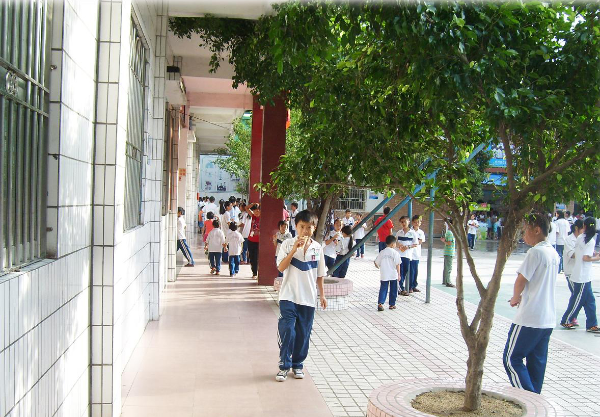 惠州市惠阳区绿苑学校